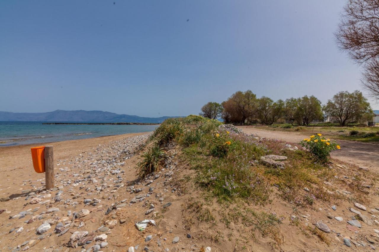 Kissamos Sea View Beach Apartments Ngoại thất bức ảnh